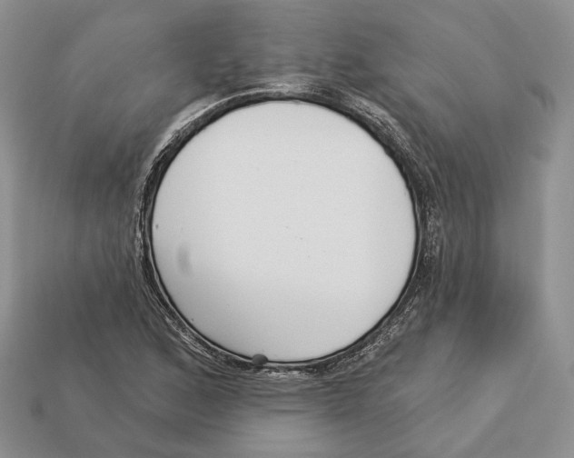 X0000112941168200909211128