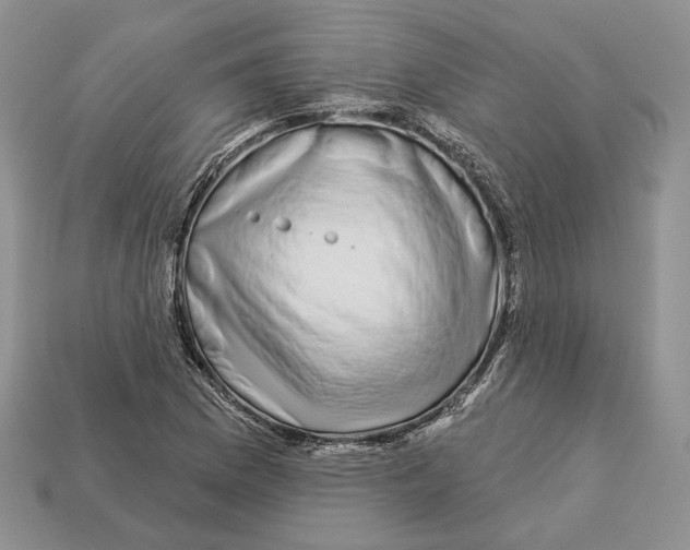 X0000112941169200909211128