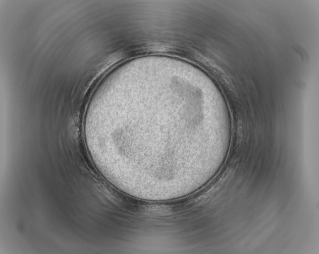 X0000112941170200909211128