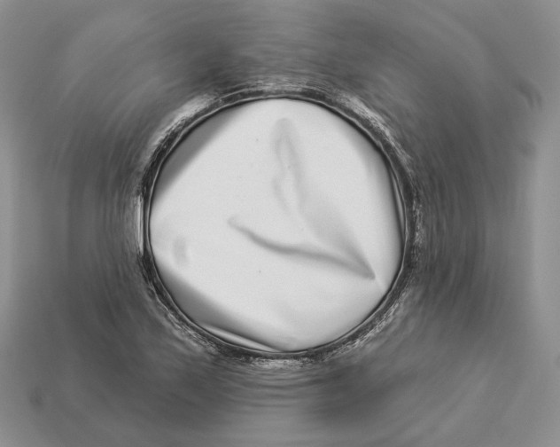 X0000112941171200909211128