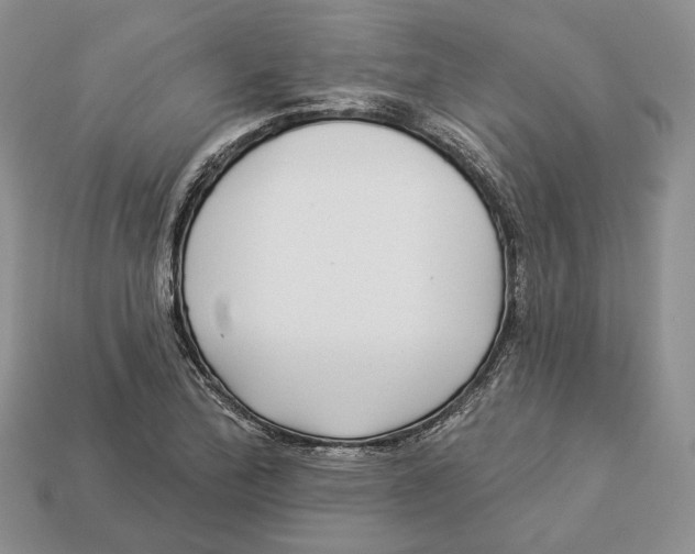 X0000112941172200909211128