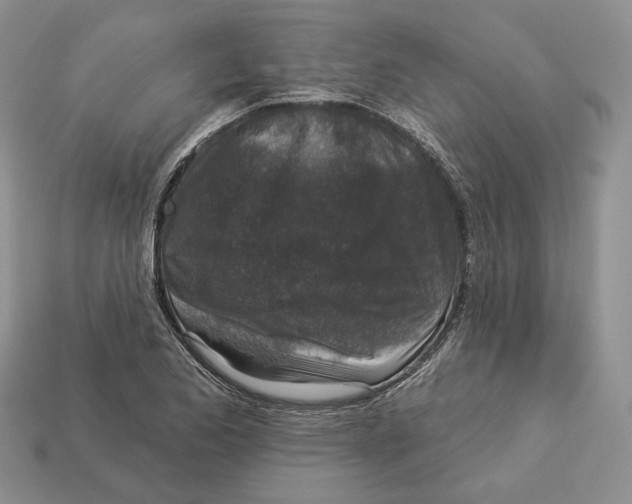 X0000112941173200909211128
