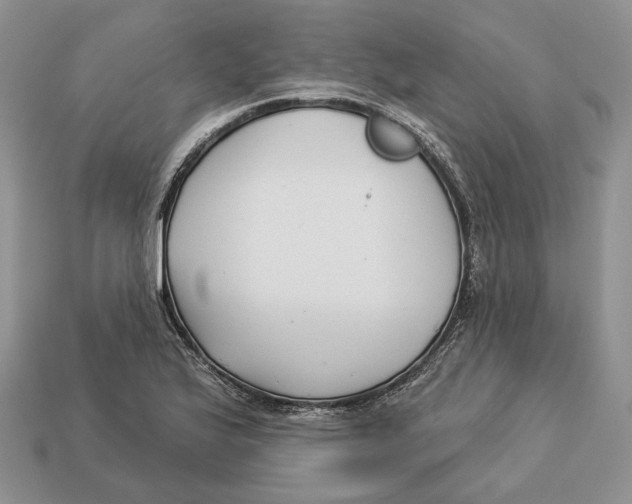 X0000112941175200909211127