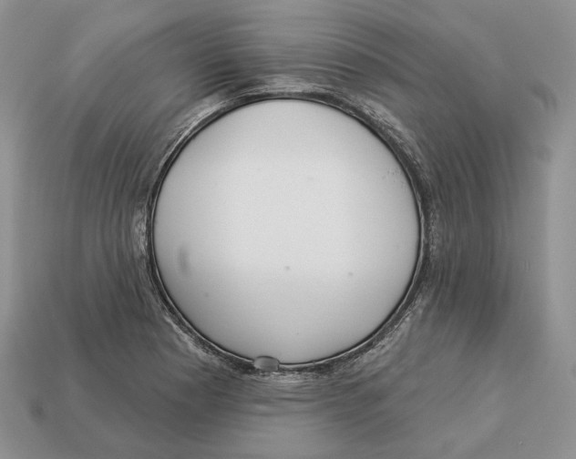X0000112941177200909211127