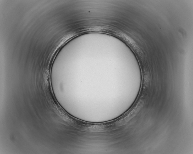 X0000112941178200909211127