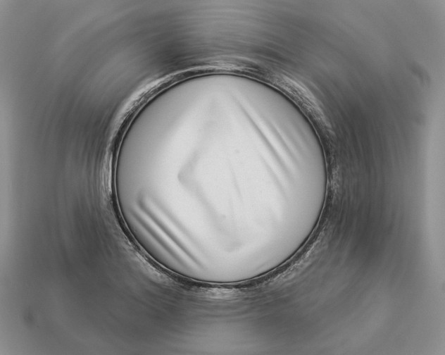 X0000112941180200909211127