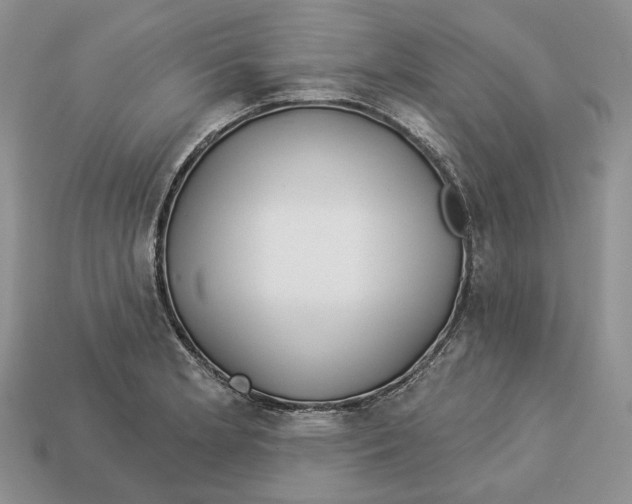 X0000112941181200909211127
