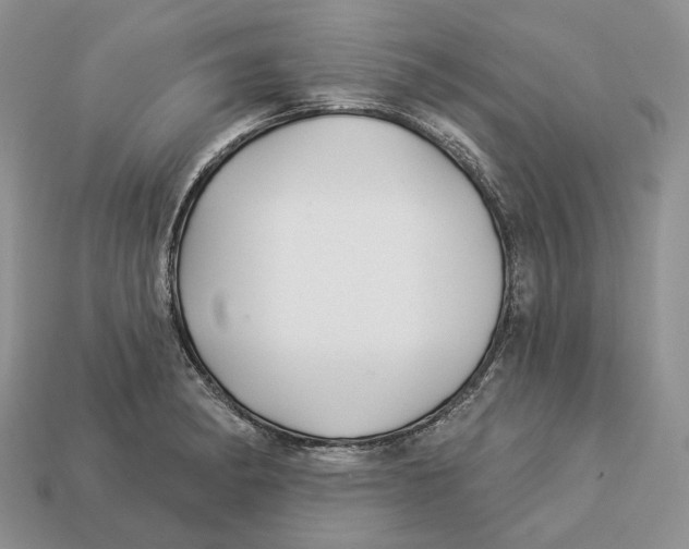 X0000112941182200909211127