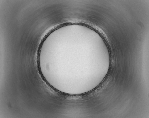 X0000112941183200909211127