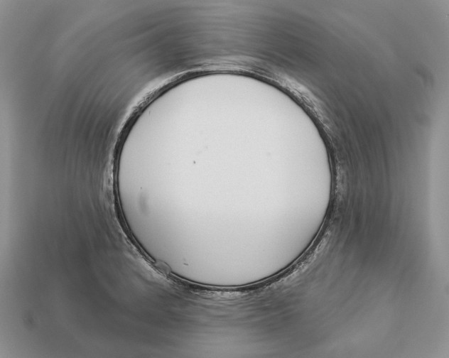 X0000112941184200909211127