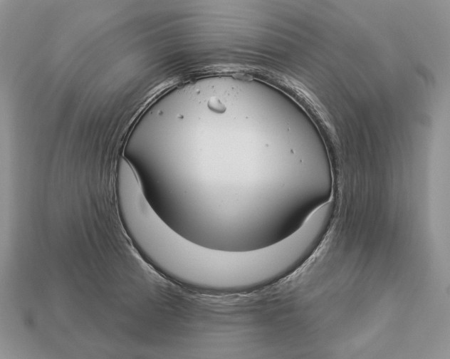 X0000112941185200909211127