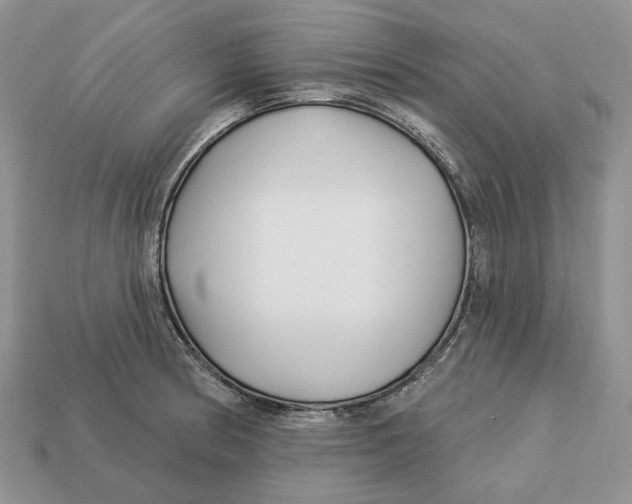 X0000112941186200909211127