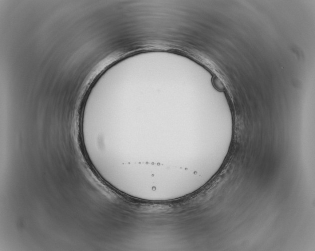 X0000112941187200909211127