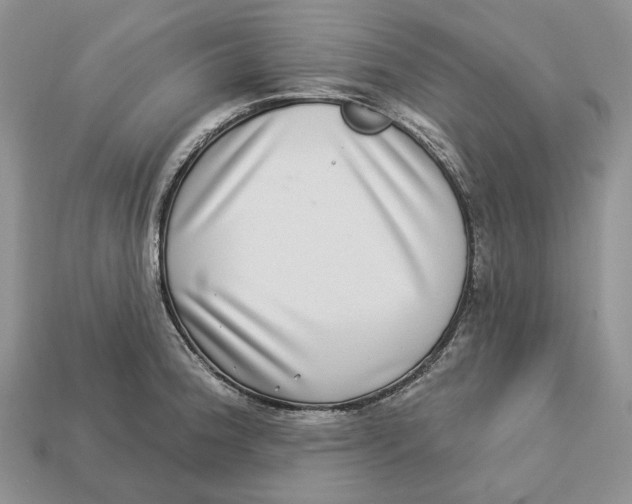 X0000112941188200909211127