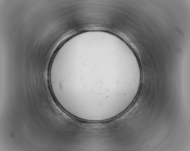 X0000112941189200909211127