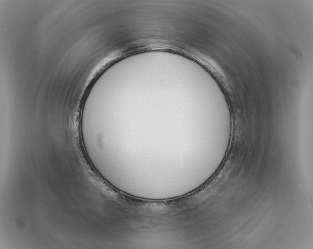 X0000112941190200909211127