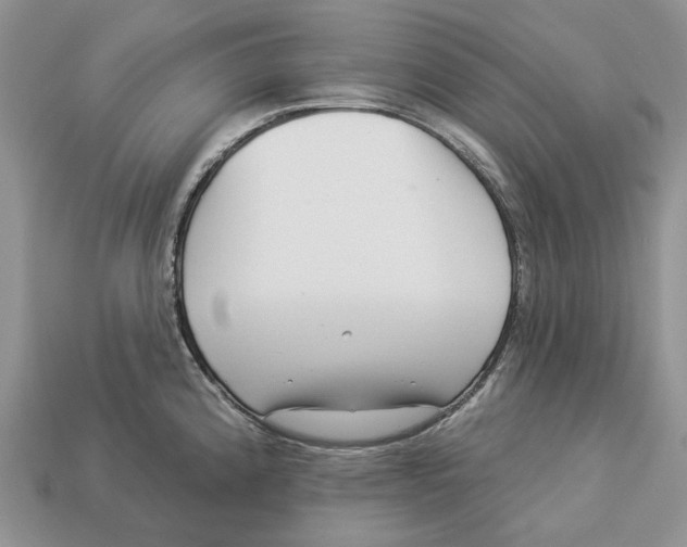 X0000112941192200909211127