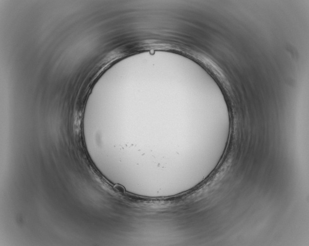 X0000112941193200909211127