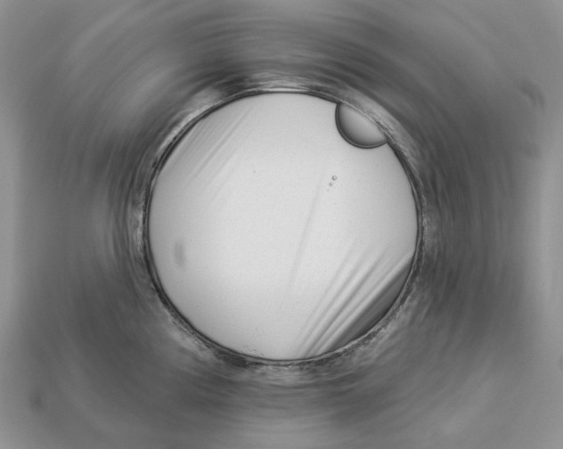 X0000112941194200909211127