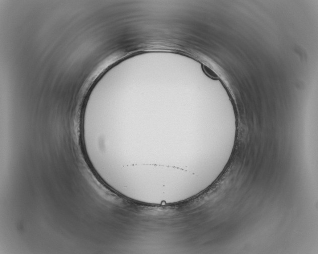 X0000112941195200909211127