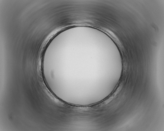 X0000112941196200909211127