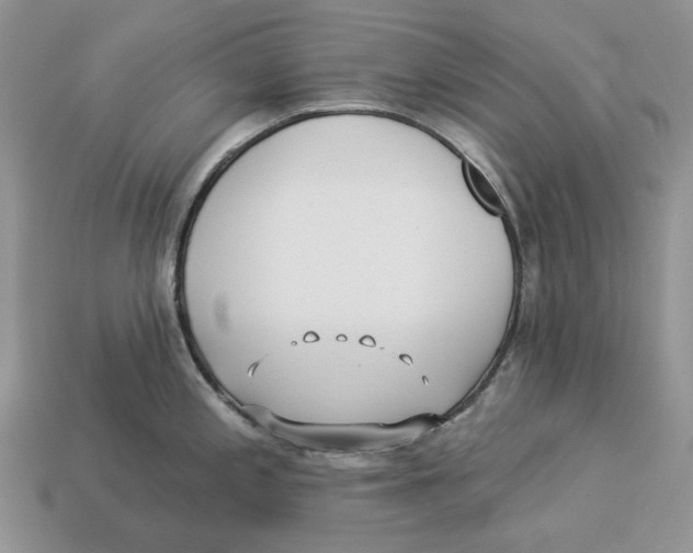 X0000112941197200909211127