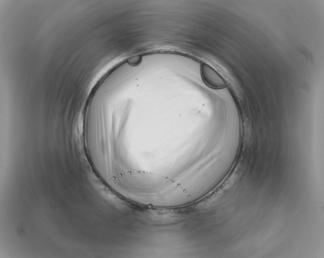 X0000112941198200909211127