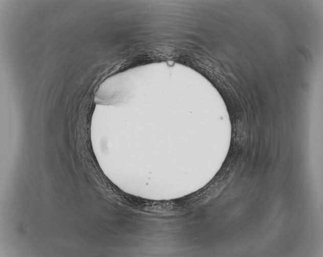 X0000112941201200909211127