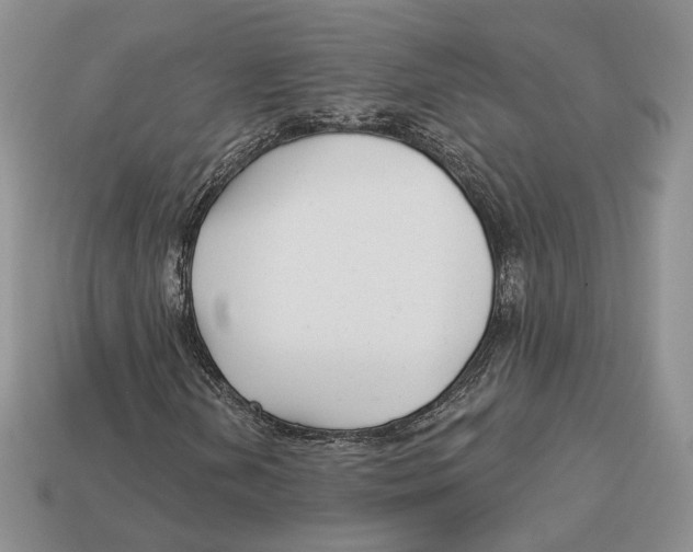 X0000112941202200909211127