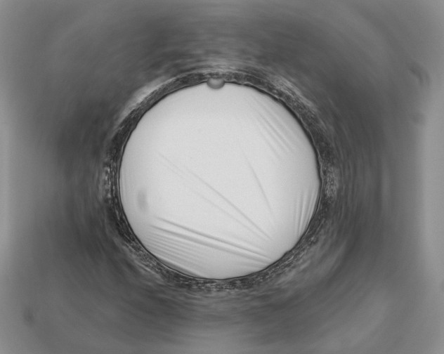 X0000112941208200909211127