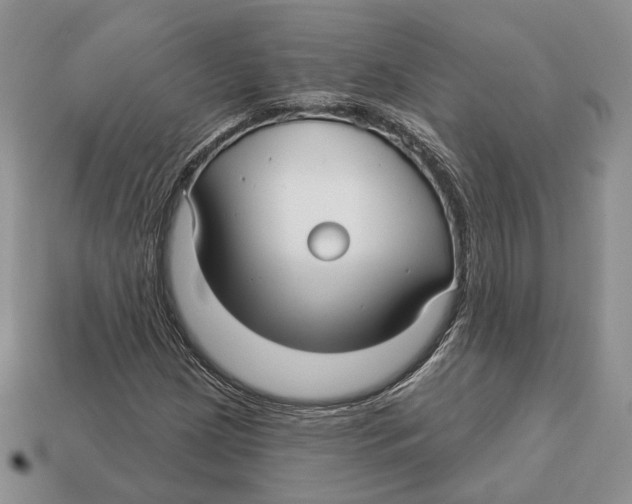 X0000112941209200909211127
