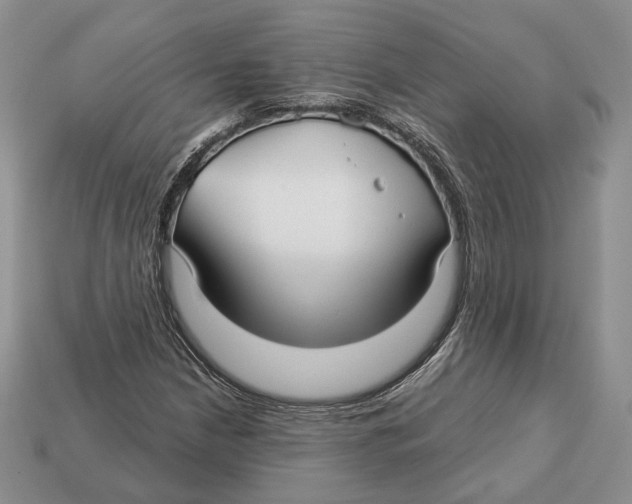 X0000112941210200909211127