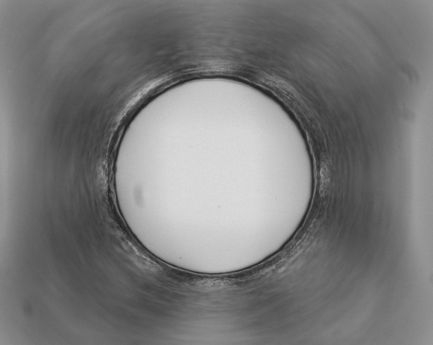X0000112941212200909211127