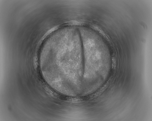 X0000112941213200909211127