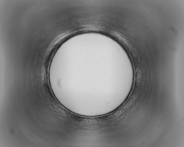X0000112941215200909211127