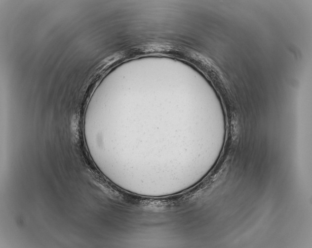 X0000112941217200909211127
