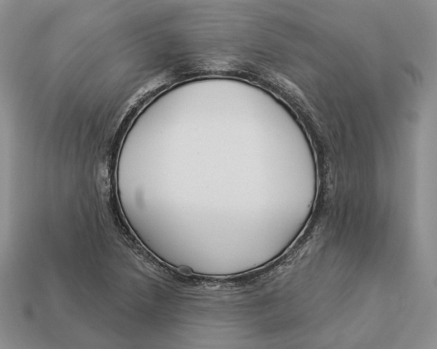 X0000112941218200909211127