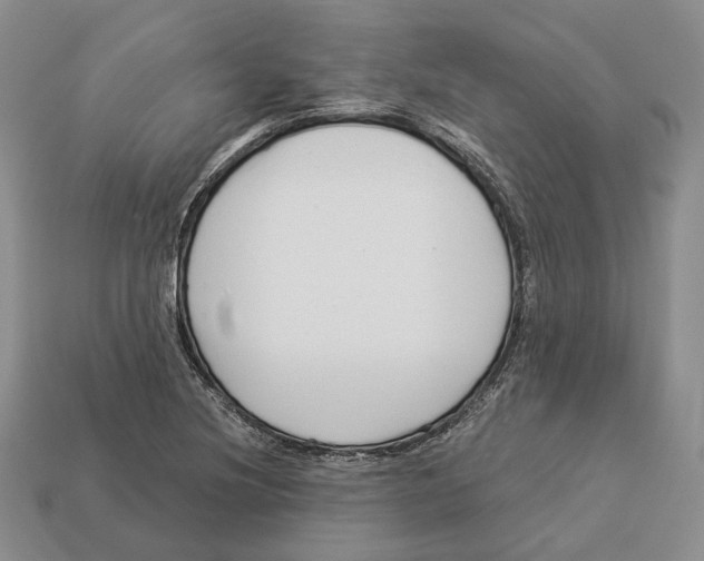 X0000112941220200909211127