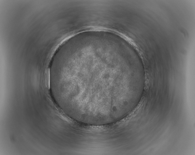 X0000112941223200909211127