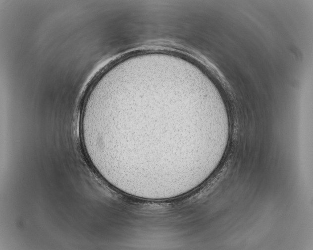 X0000112941224200909211127