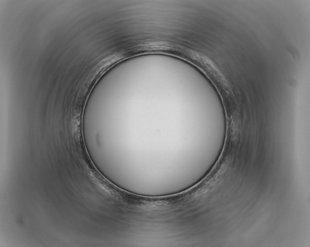 X0000112941225200909211127
