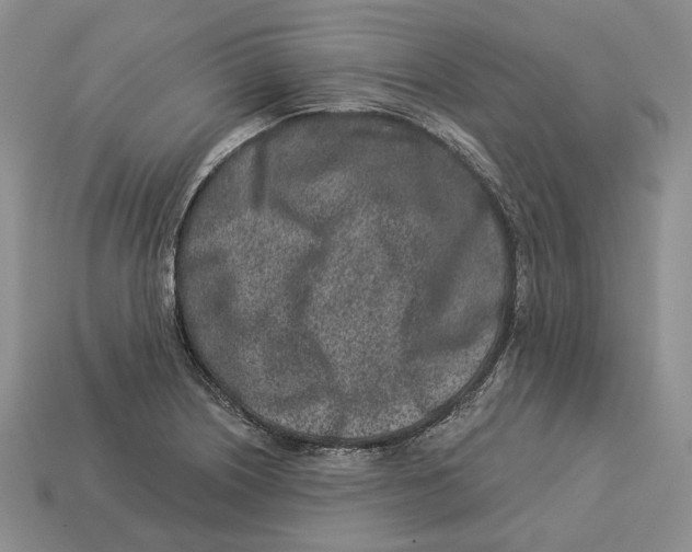 X0000112941226200909211127