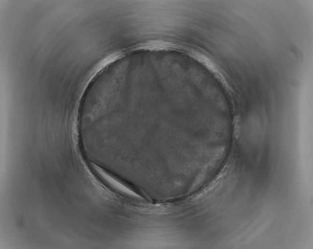 X0000112941229200909211127