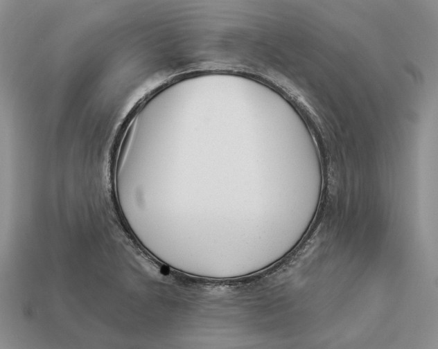 X0000112941230200909211127