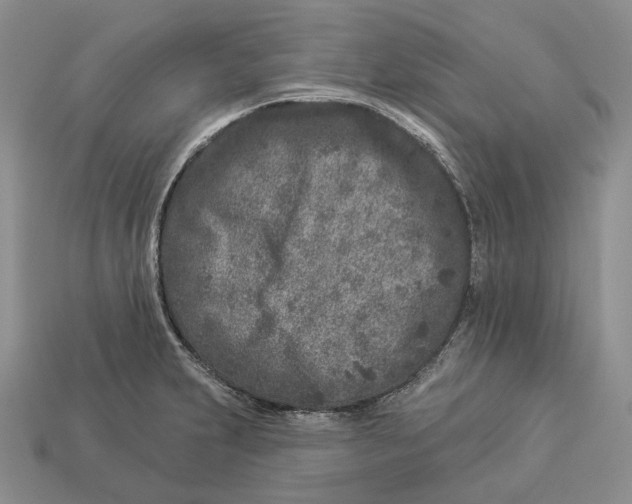 X0000112941231200909211127