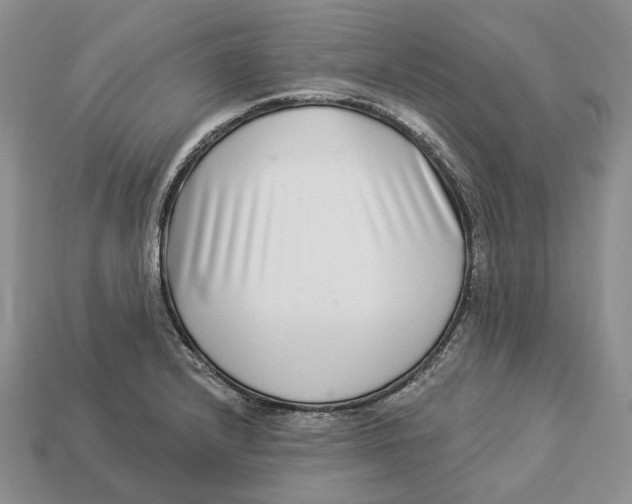 X0000112941232200909211127