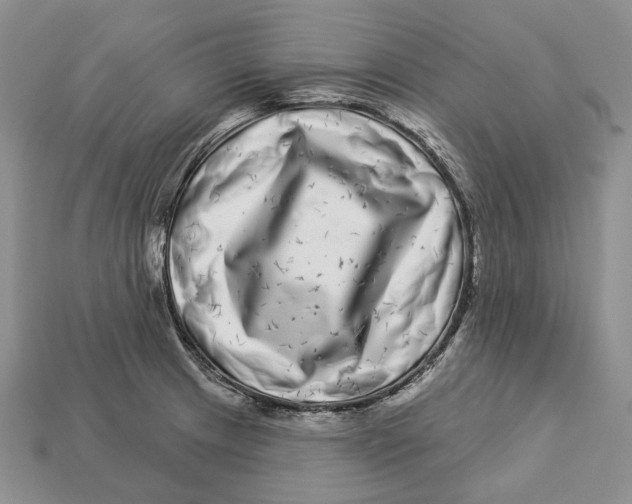 X0000112941233200909211127