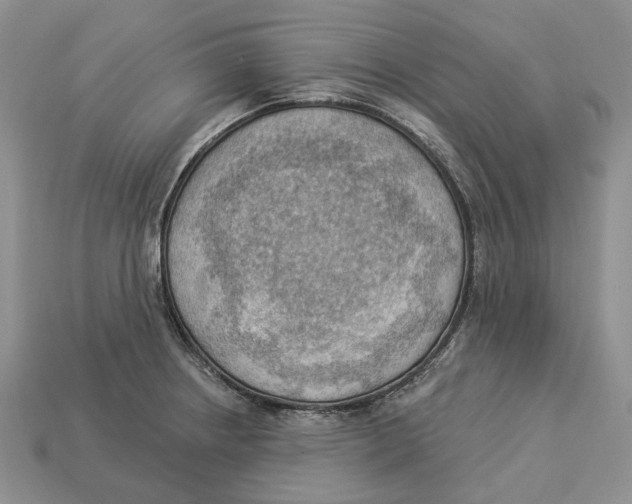 X0000112941234200909211127