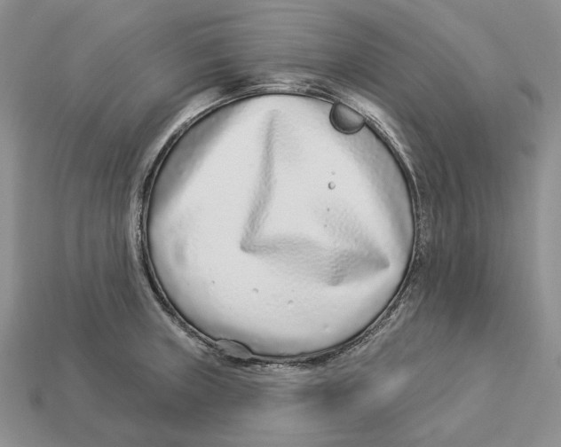 X0000112941235200909211127