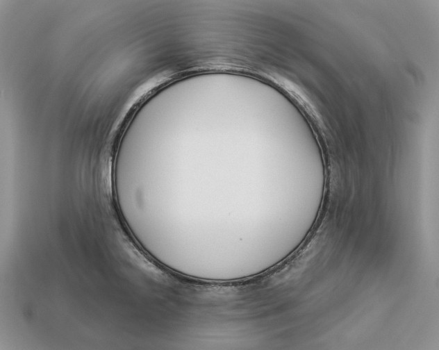 X0000112941238200909211127